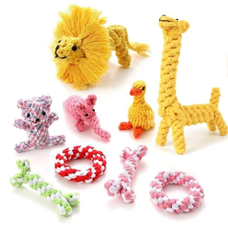 Pet Zoo Collection