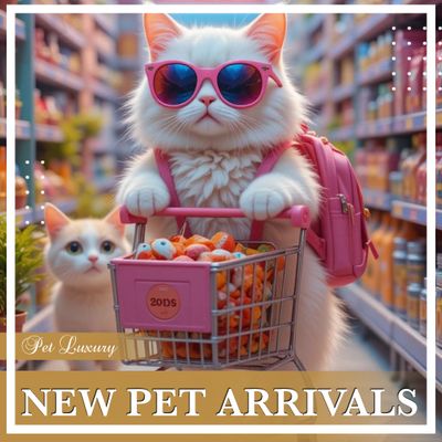 NEW PET ARRIVALS