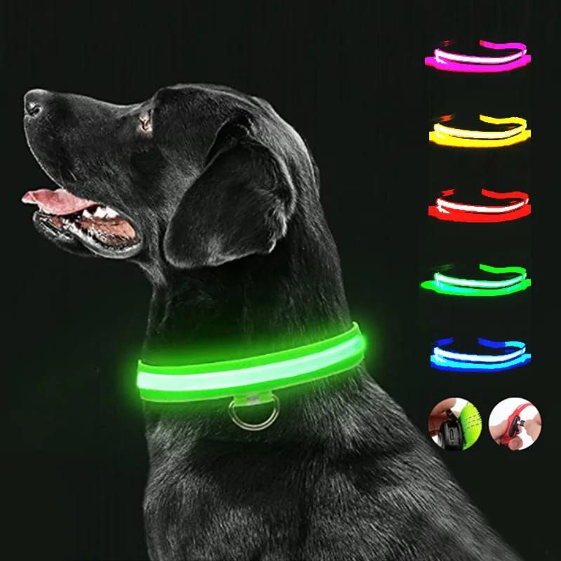 Pet Luxury Glow LED USB Chargeable Pet Collars Leash -Blue