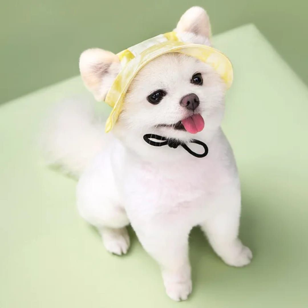 Pet Luxury Yellow Dog Or Cat Bucket Hat Cap