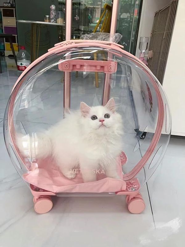 VIP Paws Cat Travel Bag