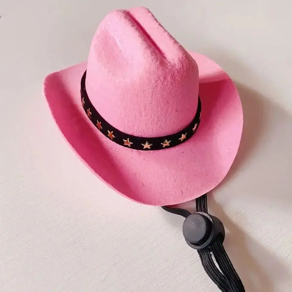 Cowboy Glam Pet Hat