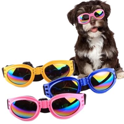 Dog Glasses