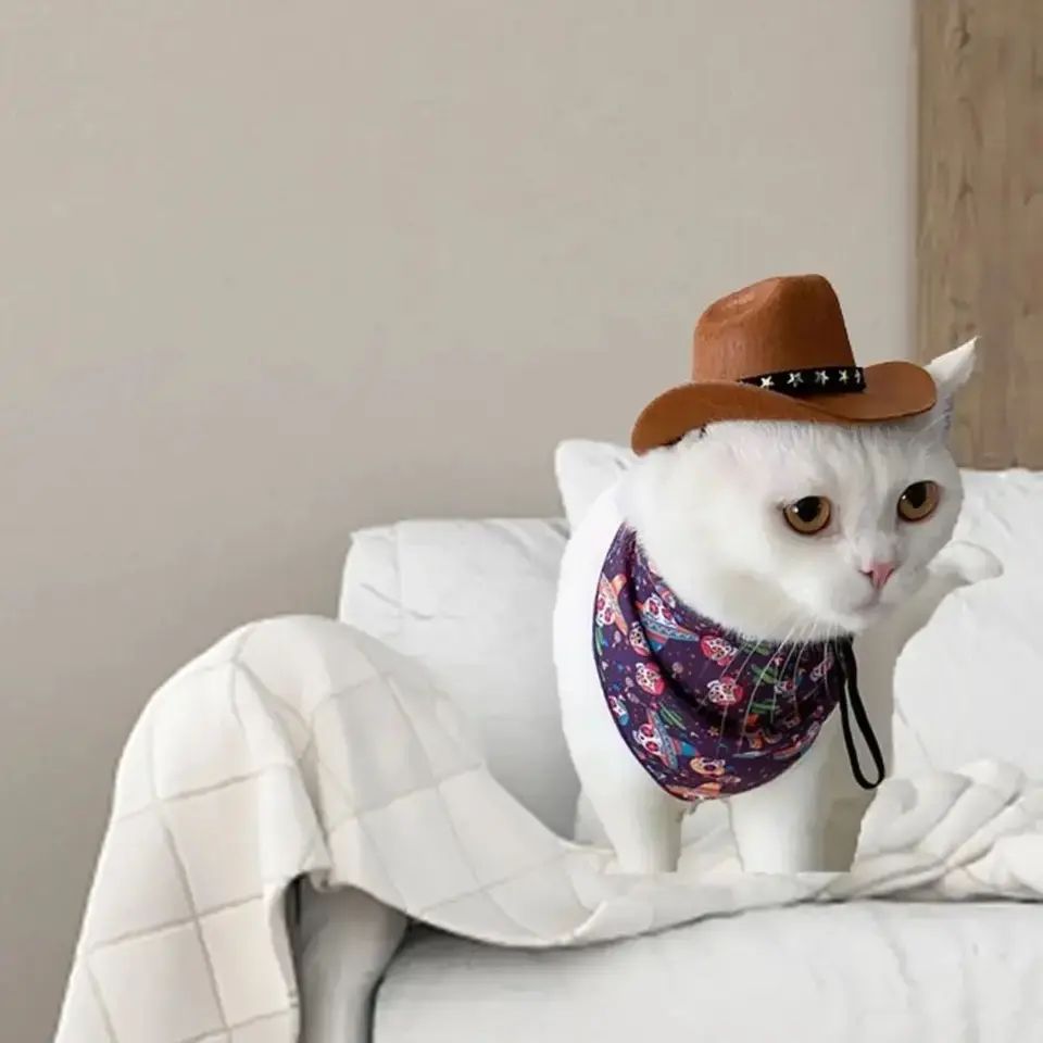 Cowboy Dog And Cat Hat-Green