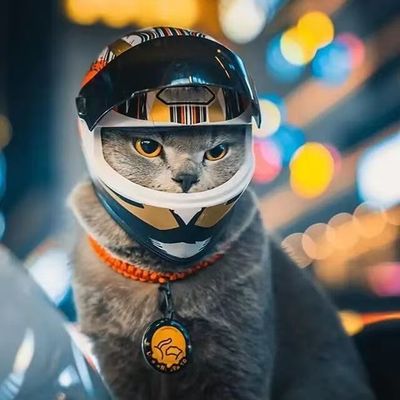 Motorcycle Pet Helmet