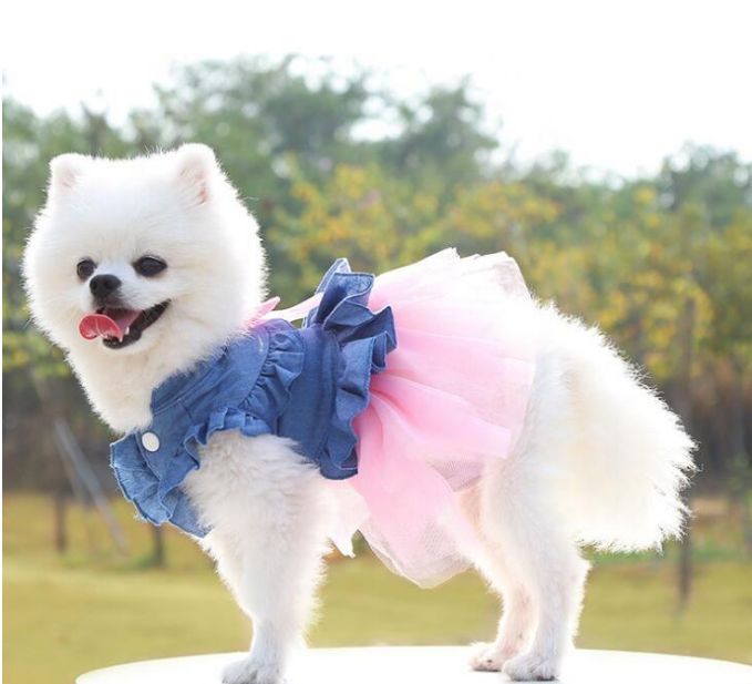 Stylish Tails Dress Stylish Tails Dress