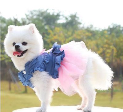 Stylish Tails Dress Stylish Tails Dress