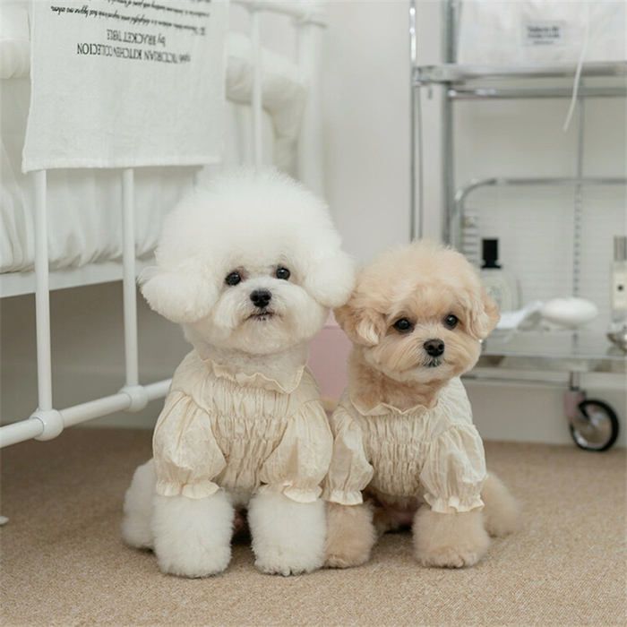 Adorable Pet Bow Skirt