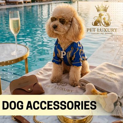Dog Accessoires