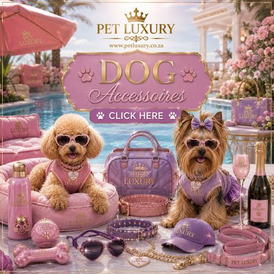Dog Accessoires