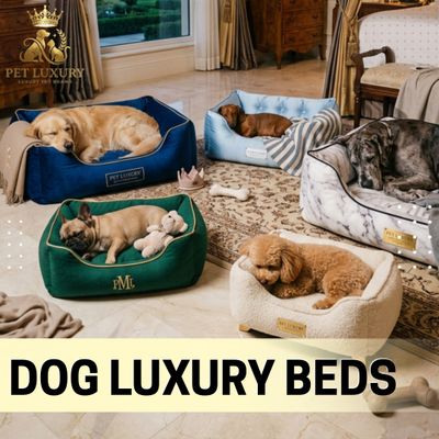 Dog Beds