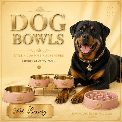 Dog Bowls