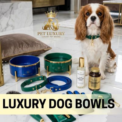 Dog Bowls