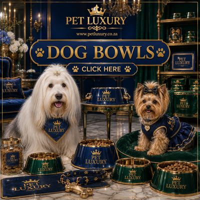 Dog Bowls