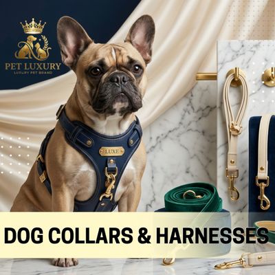 Dog Collars Leads And Harnesses