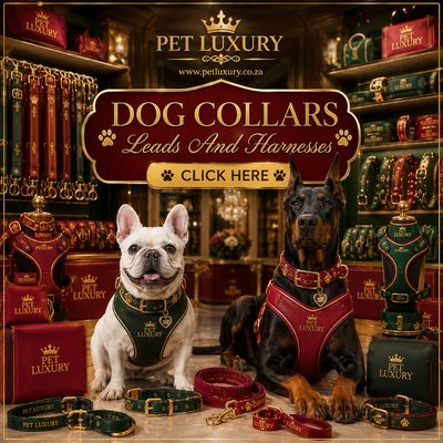 Dog Collars Leads And Harnesses
