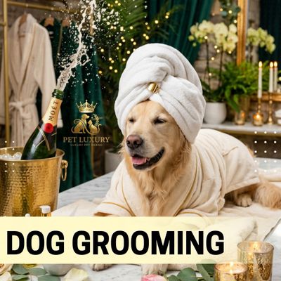 Dog Grooming