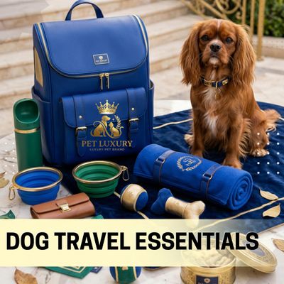 Dog Travel Essentials