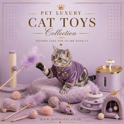 Cat Toys