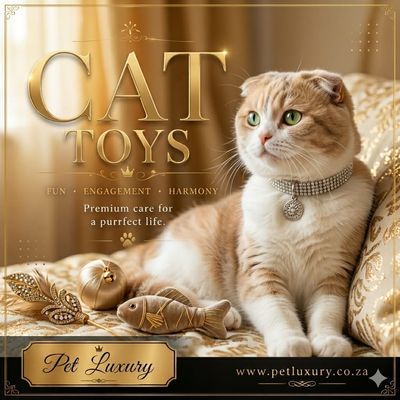 Cat Toys