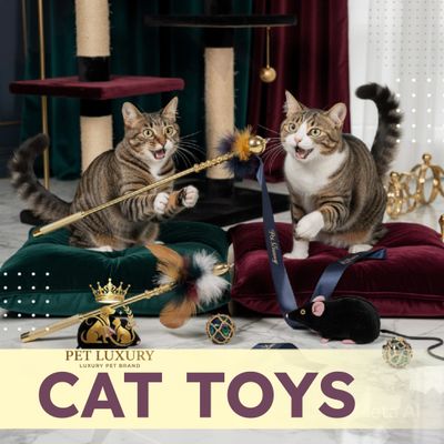 Cat Toys