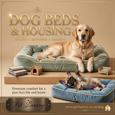 Dog Housing