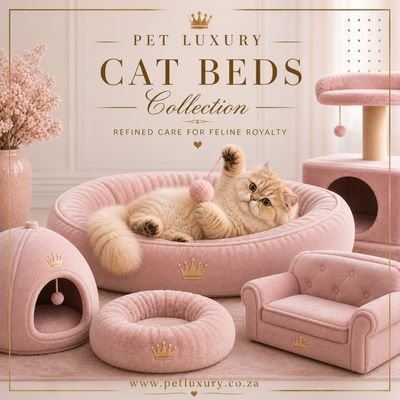 Cat Beds