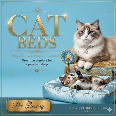 Cat Beds