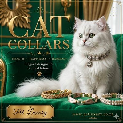 Cat Collars Leads And Harnesses