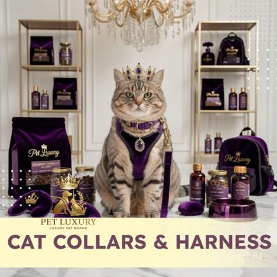 Cat Collars Leads And Harnesses