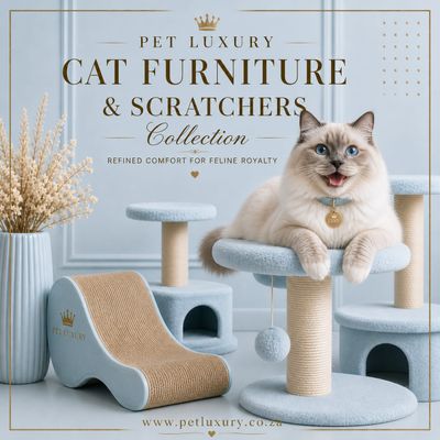 Cat Furniture Scratchers