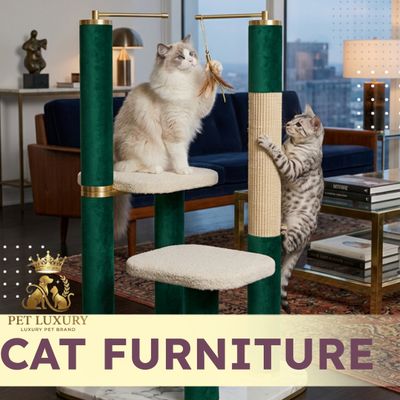 Cat Furniture Scratchers