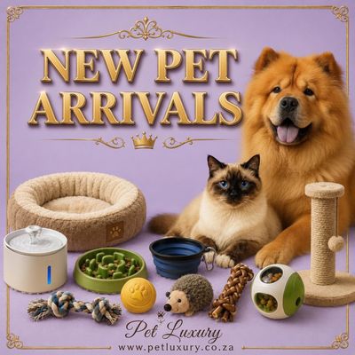 New Pet Products Arrivals