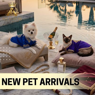 New Pet Products Arrivals