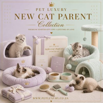 New Cat Parent