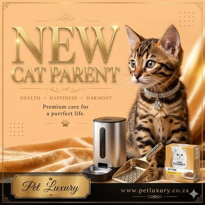 New Cat Parent