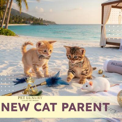 New Cat Parent