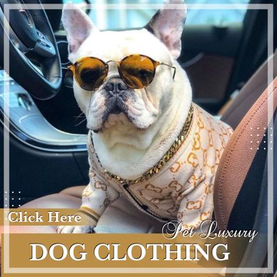 Dog Clothing