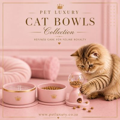 Cat Bowls