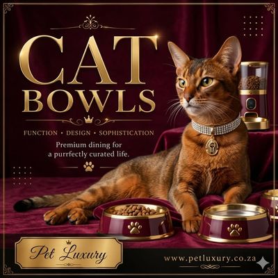 Cat Bowls