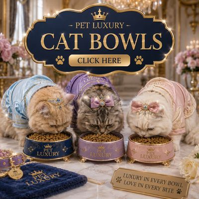Cat Bowls