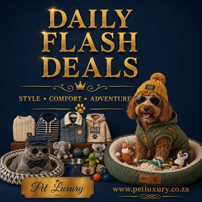 Daily Flash Sale