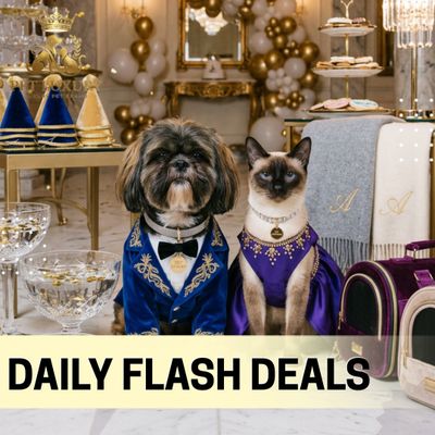 Daily Flash Sale