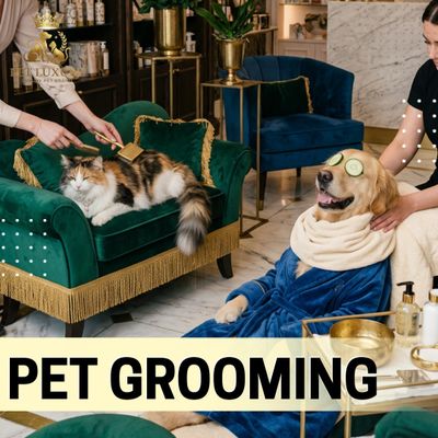 Pet Grooming