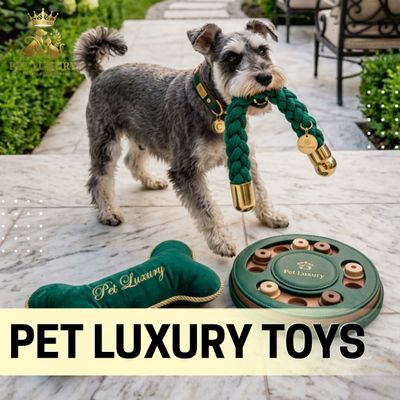 Pet Toys
