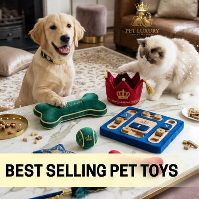 Best Selling Pet Toys