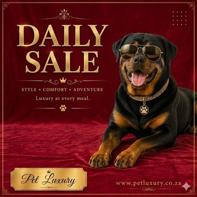 DAILY SALE 65% OFF
