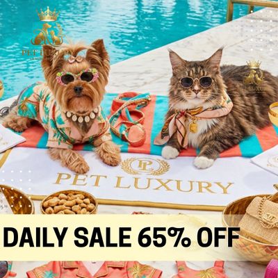 DAILY SALE 65% OFF