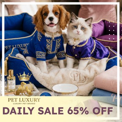 DAILY SALE 65% OFF