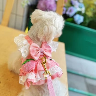 Pet Luxury 2in 1 Spoils Juicy Dress Harness & Leash Set – Pink